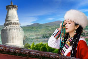 五台山一日游，太原出发【人的一生一定要来一趟五台山，红墙灰瓦，听梵音，闻香火，三柱清香，所愿皆所望，所行化坦途！】