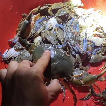海南万宁神州半岛【趣味赶海3小时丨全套装备丨免费加工】