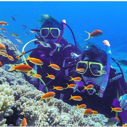 【码头近2小时车程】泰国普吉岛斯米兰群岛一日游|浮潜/登岛