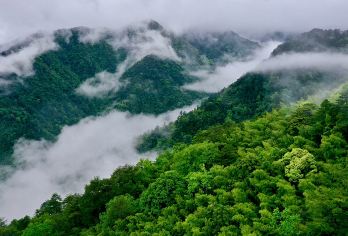 武夷山国家公园+九曲溪竹筏漂流+天游峰+可选演出一日游【可升级独立团|私家团1单1团，畅游行程】