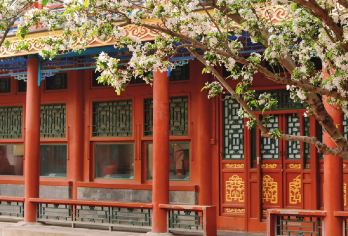 中国北京恭王府+中国北京颐和园+中国北京圆明园一日活动【只为让您有更好的体验，24小时专属客服在线】