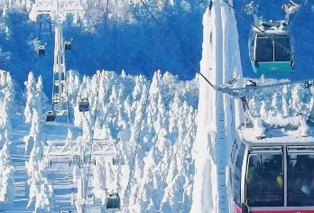 日本札幌往返旭川富良野美瑛经典网红景点打卡-包车-精选【专属客服和本地中文司机，一家一团包车】