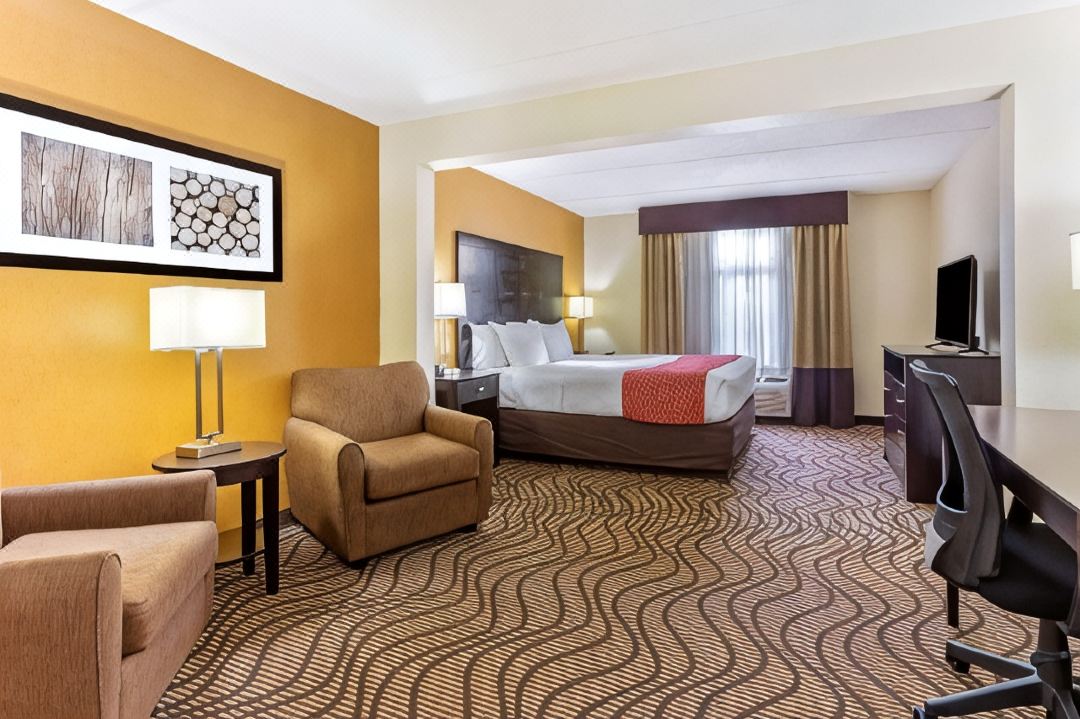 Comfort Inn & Suites Tampa North I-75