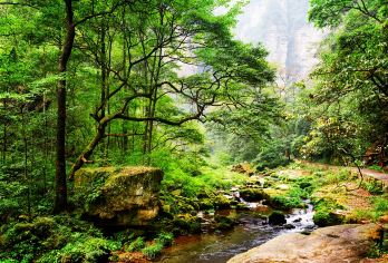 长沙+张家界国家森林公园一日游【一单一团私家包团+动车往返】【[品质专线]全新升级深度游，高分好评，打卡核心网红景点——袁家界、百龙电梯、十里画廊、天子山。】