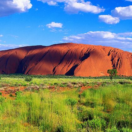 乌鲁鲁卡塔丘塔国家公园+风之谷半日游【宫崎骏漫画丨可选日出】