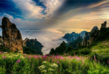 北京出发白石山一日游【含门票+含往返接送+周末出发+有领队】【7点半健德门地铁 / 北土城出发，16点半从白石山返回北京。】