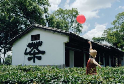 普洱茶马古道遗址公园+中华普洱茶博览苑一日游【接送+双门电】【[尊享定制团]一对一服务，专车司机用车服务，酒店上门接送，纯玩行程，随心出发，懒人玩法！】