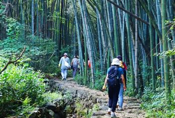 绍兴上青古道+安昌古镇1日游【原价199元，爆抢89元】【贴心双人员服务，专业户外领队+导游，保障您的安全】