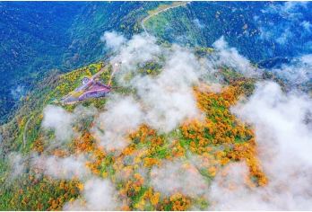 瓦屋山彩林一日游【深度纯玩  观云海佛光】【蜀中仙山世界桌山，观云海、觅佛光，赏彩林】