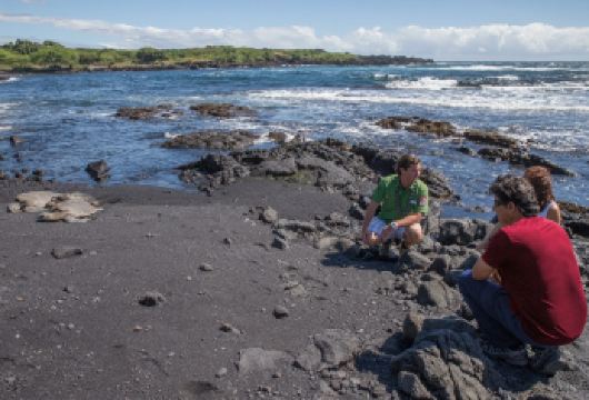 美国夏威夷火山国家公园环岛游+含接送岛间交通+英文拼团【如果您需要的出行日期无法下单，请点击左下角咨询客服查看当天的库存情况，确认有位置后告知您再下单】