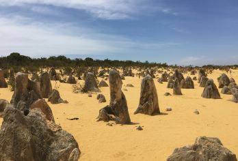 澳大利亚西澳珀斯尖峰石阵一日游/中文行程/享龙虾午餐【[特色]兰斯林沙丘滑沙、龙虾小屋、活海洋迭层石、尖峰石阵、龙虾套餐】
