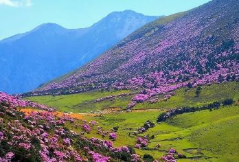 西昌螺髻山+九十九里温泉景区一日游【2人起订/独立小包团】【2人起独立成团/上门接送】