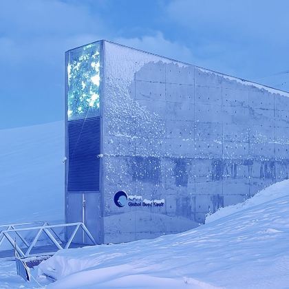 朗伊尔城和全球种子库游览（徒步/巴士）