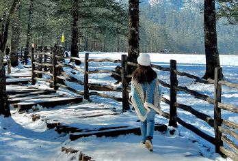 丽江玉龙雪山景区：云杉坪+蓝月谷+印象丽江一日游（8人团）【优质交通+商务小团+6-8人小团+旅游套餐玉龙雪山云杉坪小索道一日游】