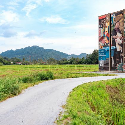 稻田货柜壁画+义合豆蔻厂+参观水粉业+牧羊场一日游