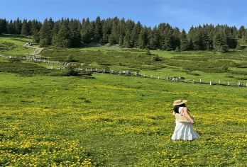 新疆赛里木湖一日游【6人内小团·深度畅玩/天天发团/纯玩团】【一站式服务，丰富驾驶经验专职司机人员伴您安心出行~】