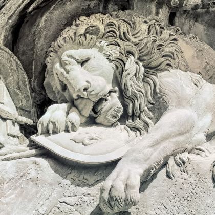 瑞吉山+卡佩尔廊桥+锤死狮子像+卢塞恩湖+【苏黎世中文定制】