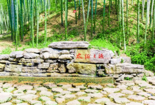 宜兴竹海风景区+陶二厂含午餐纯玩一日游【满30人成团】【宜兴竹海主要景点包括“太湖第一源”、“苏南第一峰”、“竹报平安”、“镜湖秀色”、“索桥凌波”等。】