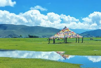 香格里拉纳帕海(依拉草原)一日游【环湖包车游+独立一单一团】【独立包车纯玩 一单一团 专车接送 环湖一圈玩完送回酒店结束行程】