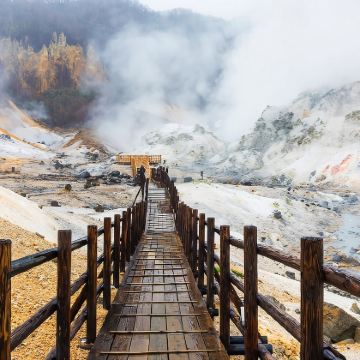 函馆出发：函馆市热带植物园+金森红砖仓库+八幡坂+函馆山包车