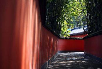 成都人文之旅 +外语导游：熊猫基地+武侯祠 EA （含车）【全程中文/英文/俄语服务，沟通无障碍，景点可调】