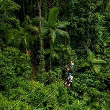 【升级游】凯恩斯丹翠雨林+树顶滑索+苦难角+鳄鱼游船一日游