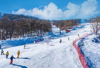 北大湖滑雪一日游+直通车【冰雪乐园|雪具租赁|G索观光】【在北纬43°黄金滑雪带的优质粉雪上畅滑，浸泡在极乐汤日式温泉中舒缓身心。】