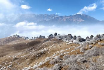 云中牧场一日游【高山草甸·云中岭丨雪山云瀑，雾凇雪景】【高山牧场：海拔两千多米的高山牧场，一览川西优美风光，置身其中，犹如漫步云海之上】