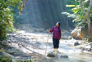 西双版纳基诺山巴坡雨林徒步一日游【自驾优选丨不接大巴】【纯玩无购物，无任何隐形消费，沉浸式体验徒步的乐趣；避开传统景点，喧闹的人群，一头扎进茂密的原始丛林；】