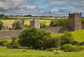 爱尔兰都柏林+圣卡尼斯座堂一日游/行程可调-中文专车【精选热门景点，高效游玩不走回头路，深度了解文化内涵，贴心服务保障，轻松享受旅程，性价比超高的旅行。】