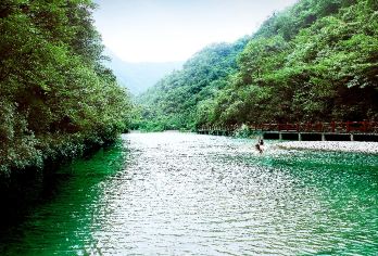 金佛山一日游【2-8人拼团.上门接送.包含门票】【2-8人小团出行，上门接送。3年内车型，我们不一样】