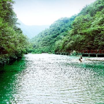 金佛山一日游【2-8人拼团.上门接.包含门票】