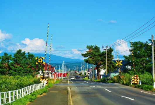 日本北海道-札幌往返-美瑛-富良野-旭川-红叶/冬季必打卡【专业行程定制，精选热门景点，高效游玩不走回头路，贴心服务保障，轻松】
