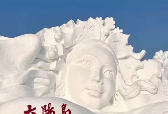 哈尔滨太阳岛风景区+东北虎林园+中央大街经典包车1日游【上门接送，时间灵活】