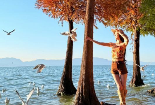 西山龙门+滇池+云南民族村包车一日游：含门票+三环内接送【[实力保障]昆明一日游集团品质严选线路，拥有自己的车队、司机，全程品质把控，专业一手资源】