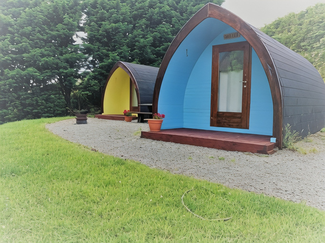 Revive Wellness Pods