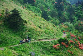 徽杭古道一日游【带你重走徽商之路颁发古道纪念证书+限定徽章】【[第一古道]徽杭古道为华东十大户外线路之首，集人文、历史和风景于一体，不可不去。】
