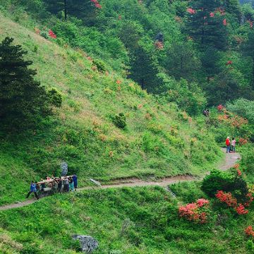 徽杭古道一日游【华东经典户外古道颁发古道纪念证书+限定徽章】