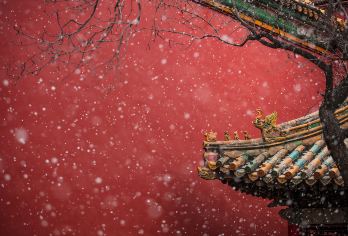 北京故宫博物院+天安门广场-国旗【故深度精讲&可升级上门接】【京腔京调讲解，聆听故宫故事】