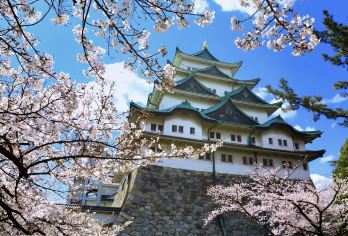 日本名古屋德川园-名古屋市科学馆可定制【中文专车-舒适纯净】【中文专车出行，景点灵活调整，打卡经典，游玩自己定义，无需等待，专属贴心服务，尽享惬意旅程】