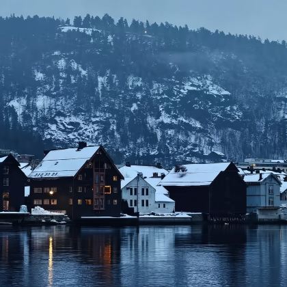 蒂里湖+博物馆+维格兰雕塑公园+胡尼夫斯（包车）