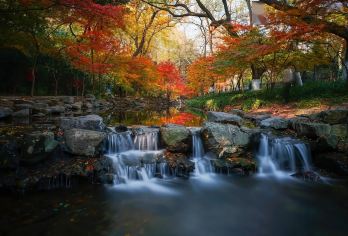 上海一日游：杭州九溪十八溪徒步呼吸新鲜空气【徒步穿越九溪竹林掩映的溪流，呼吸新鲜空气，逃离城市的喧嚣！ 从上海出发，轻松一日游！探索杭州的隐藏瑰宝，欣赏诗意的溪流和葱郁的山谷。 当地向导带路，分享生态和文化见解，让徒步旅行安全而充实。】