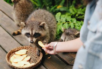 普洱太阳河国家森林公园 +普洱市博物馆一日游【可拼团可包团，定点上车或上门接送可选择】