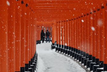 深度游日本青森 │暖炉列车&高山稻荷神社&鹤之舞一日游【探访青森春天赏樱、夏天看湖、秋天赏红叶、冬天滑雪，一年四季美景】