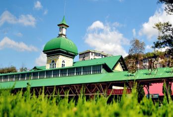 旅顺潜艇博物馆+老铁山黄渤海分界线一日活动【2-6人上门接送】【[服务升级]特推2-6人迷你小团，商务车酒店上门接送】