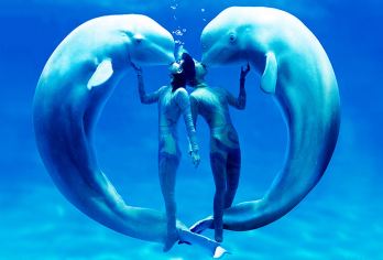 大连圣亚海洋世界+赠送帆船+东方水城一日游【独立成团不拼客】【[独立包团]独立成团，不拼人，专车专导，只为您一家服务，包含圣亚海洋世界四馆游玩】