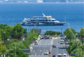 大连棒棰岛一日游【私享定制】【特色体验：帆船出海喂海鸥，海鸥扑食，海上游大连】