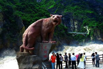 虎跳峡+白水台一日游【8人/大巴可选香格里拉/丽江结束行程】【[缤纷景点]虎跳峡+白水台+哈巴雪山观景台，热门景点尽览带您玩转香格里拉】