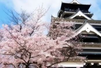 日本福冈太宰府天满宫+九州国立博物馆+温泉一日游【祈福学业顺遂，漫步温泉小镇，尽享春日的静谧与浪漫。】