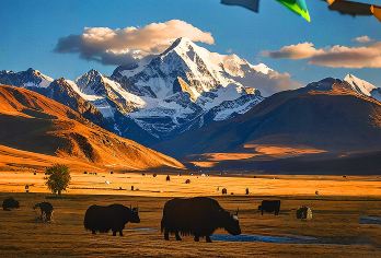 拉脊山+宗喀拉则+日月山半日游【日出云海｜市区酒店接送】【半日游省心省力圆您一个日出梦】